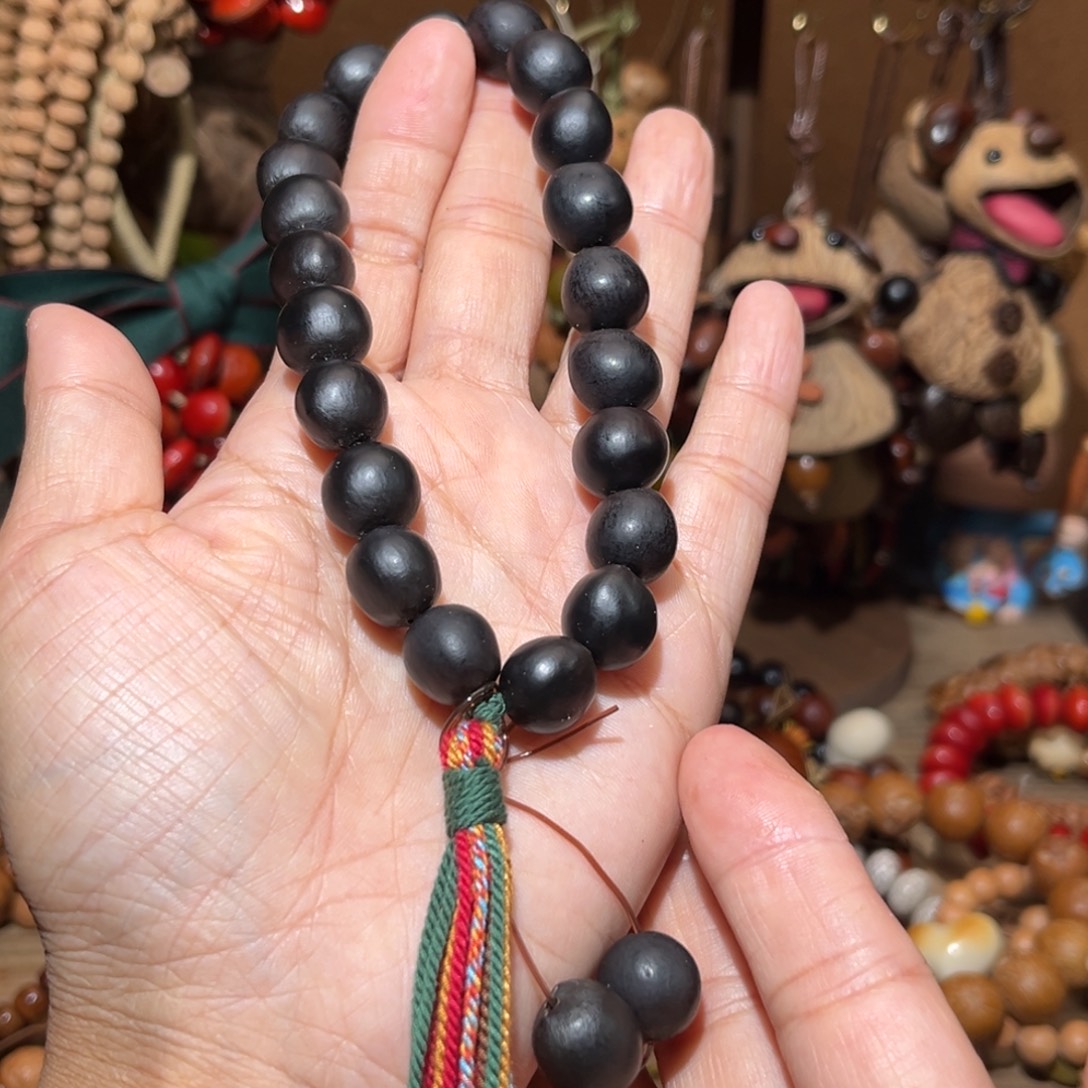 吊坠草珠菩提扁无患子（供暖地区不要拍