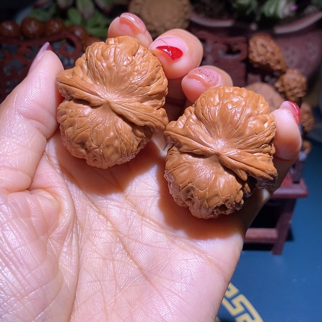 文玩核桃把件阿*元宝41