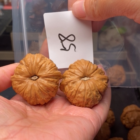 桃核吊坠`***’58南瓜墩狮子