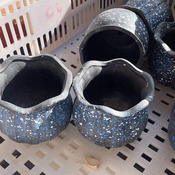 2个36166161591616616166164