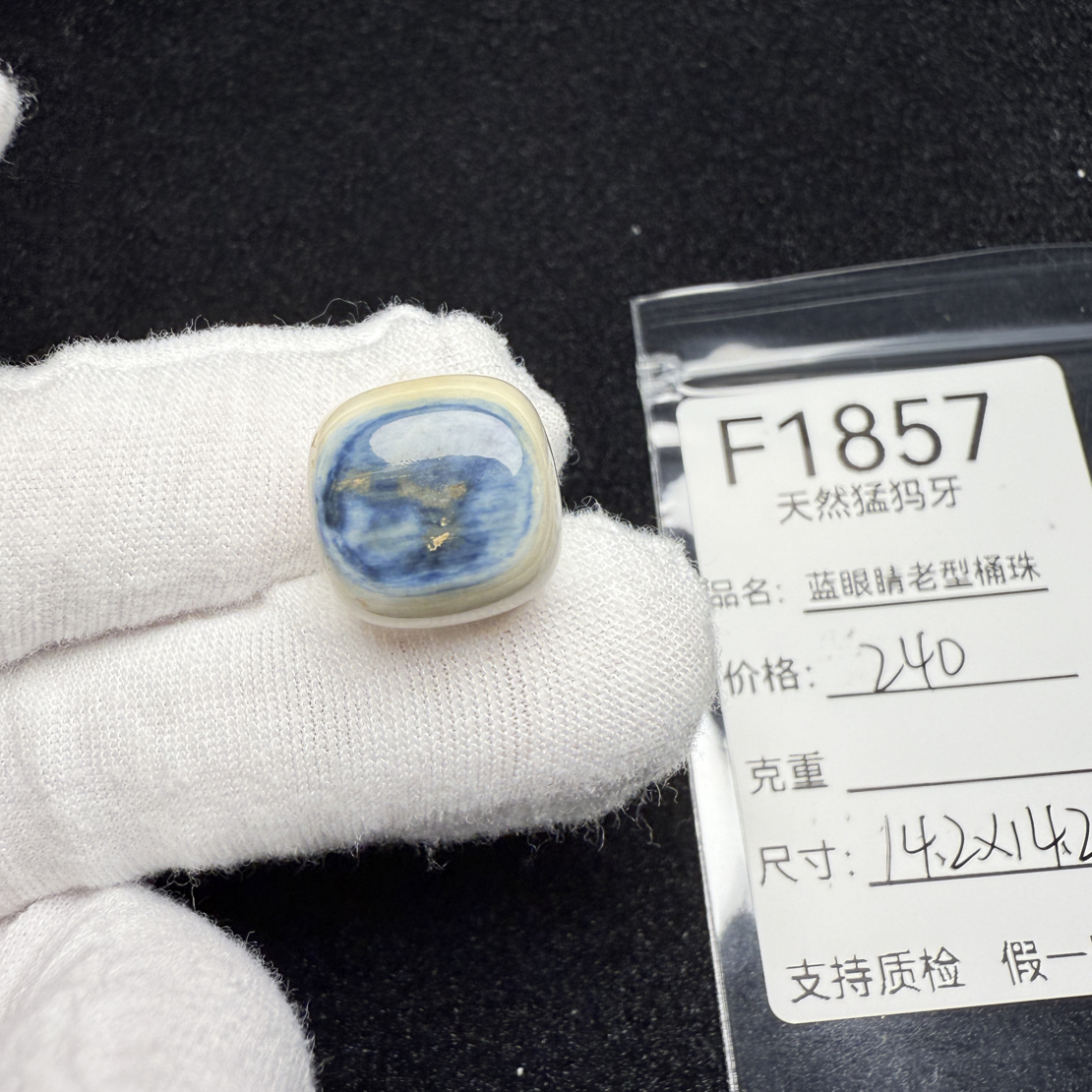 F1857天然猛犸象牙蓝皮老型桶珠墩子顶珠配珠配饰14.2*14.2mm