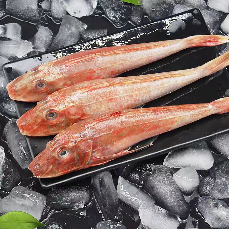 达人专用  大连发货 红头鱼 （顺丰包邮）大小个头不均匀