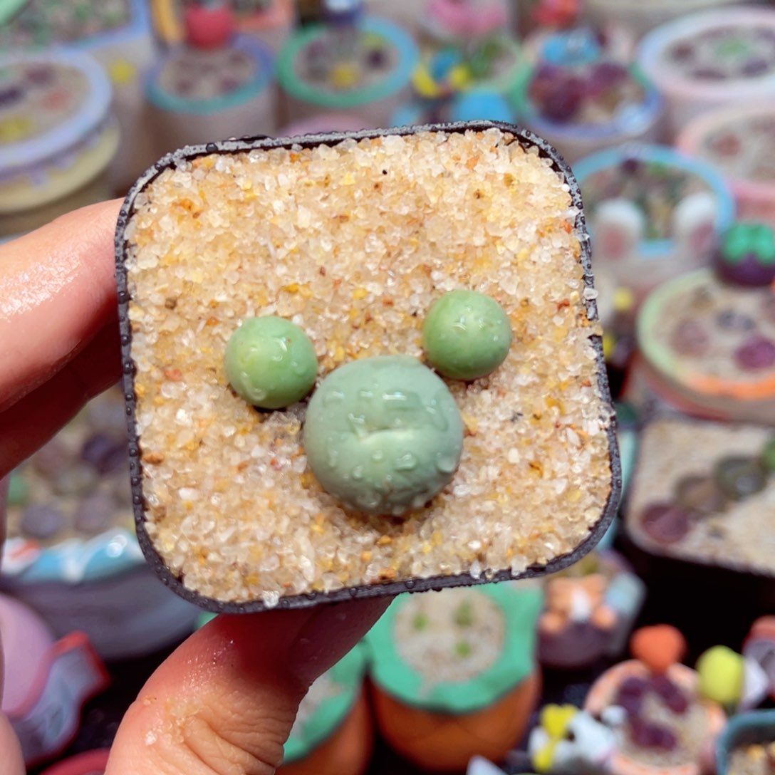 796. 5675578368777887