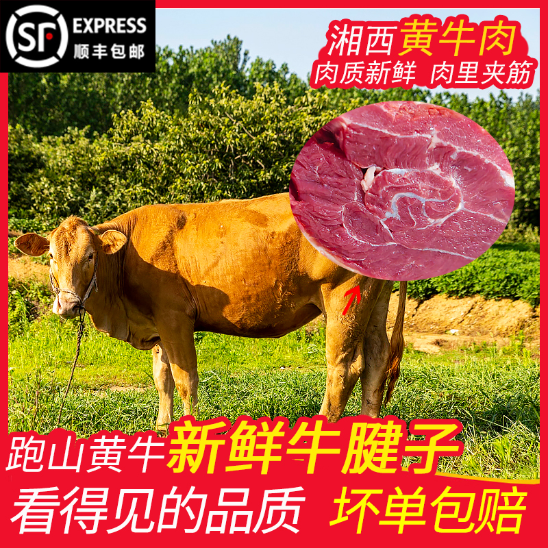 新鲜黄牛腱子新晃正宗跑山牛肉牛排牛腿肉健身整根牛腱子顺丰包邮