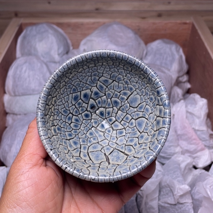 茶盏乐乐乐乐乐乐乐乐