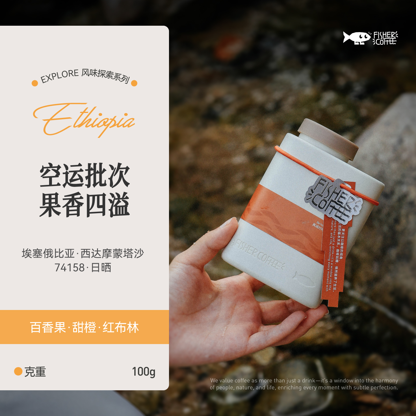 Fisher啡舍 探索系列 埃塞俄比亚西达摩蒙塔沙74158日晒 手冲100g