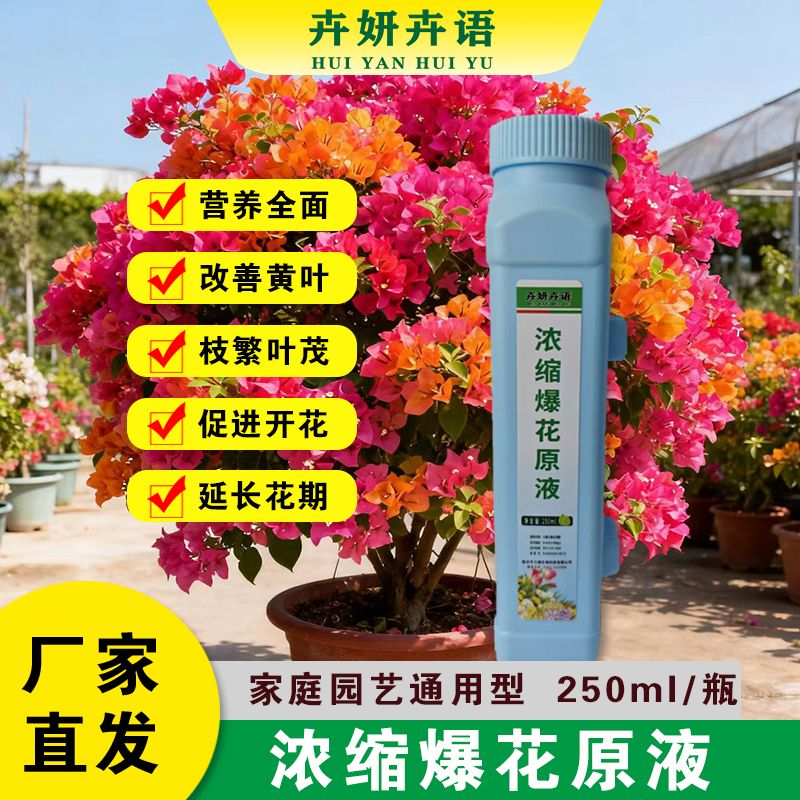 （拍一发二）新手福利长枝长叶促花促果营养全面枝繁叶茂改善黄叶延