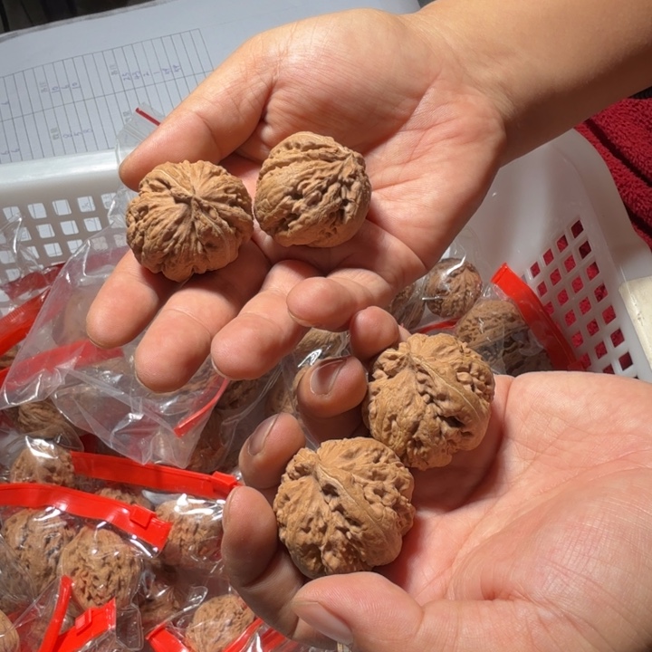 文玩核桃把件1032号全品霸王龙