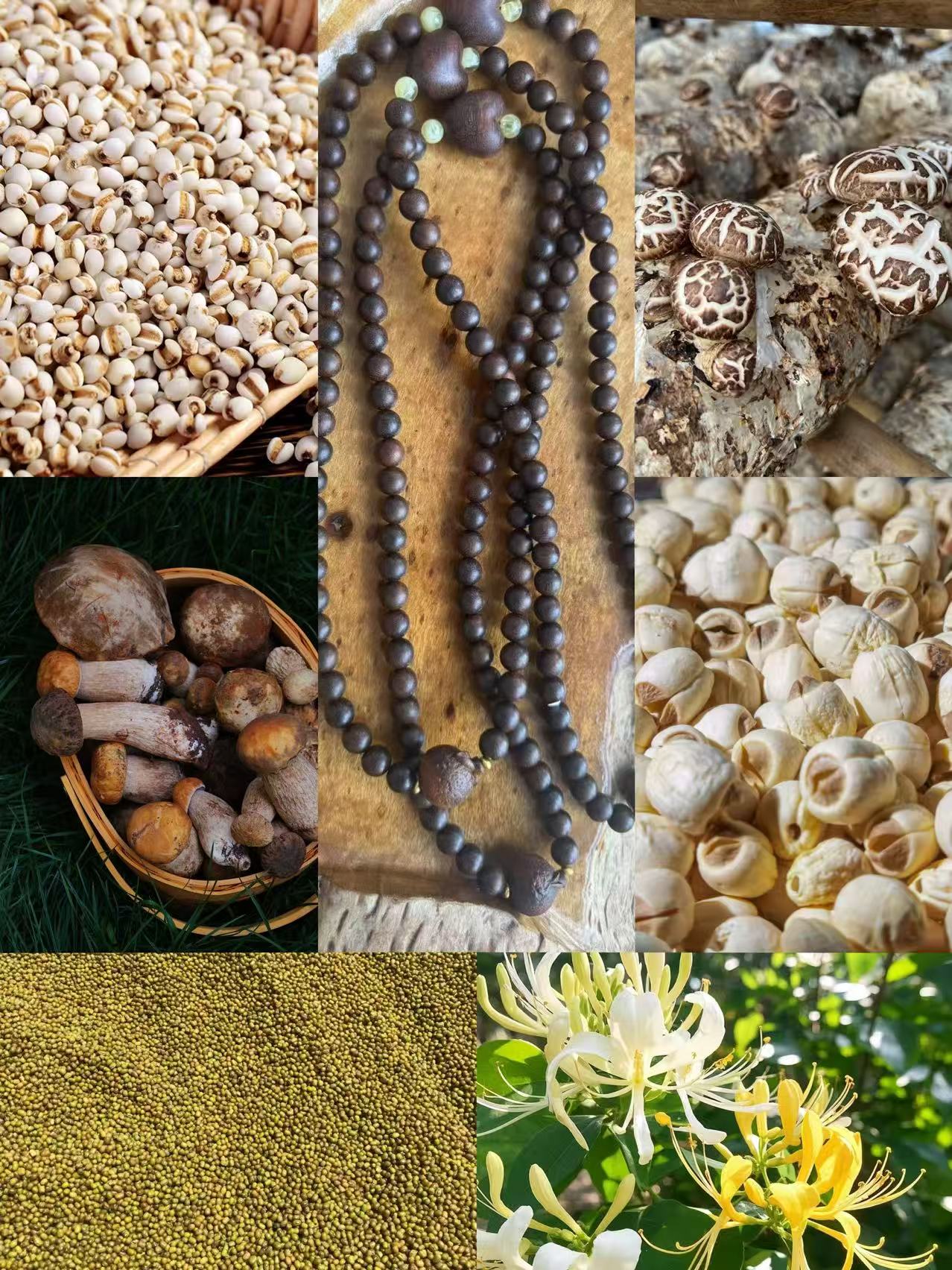 干货【小军专属土特44号XXSC】多样性发货