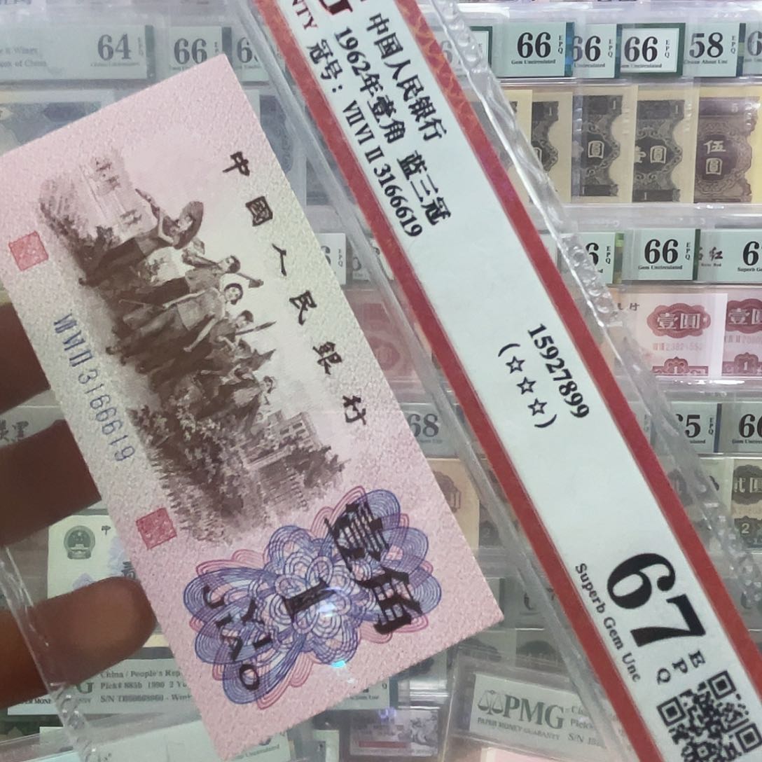 塑料林**艺蓝三观3166619直接拍