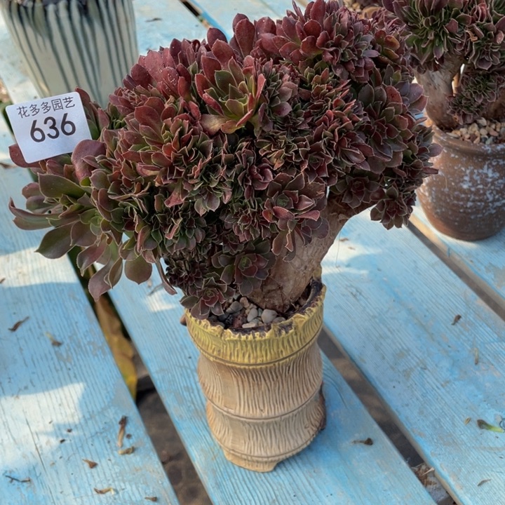 636号玫瑰法师缀花