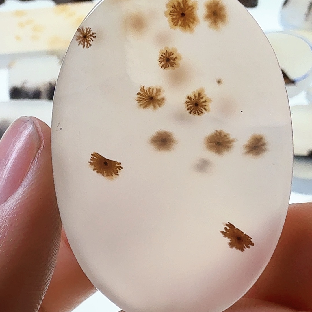 未镶嵌玛瑙/玉髓珠宝半成品