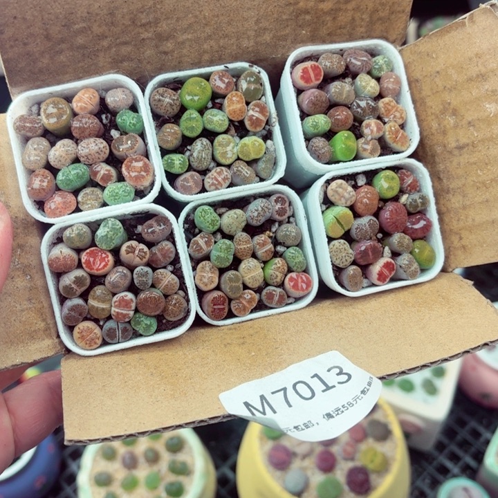 705零下地区记得拍保温箱满18包邮