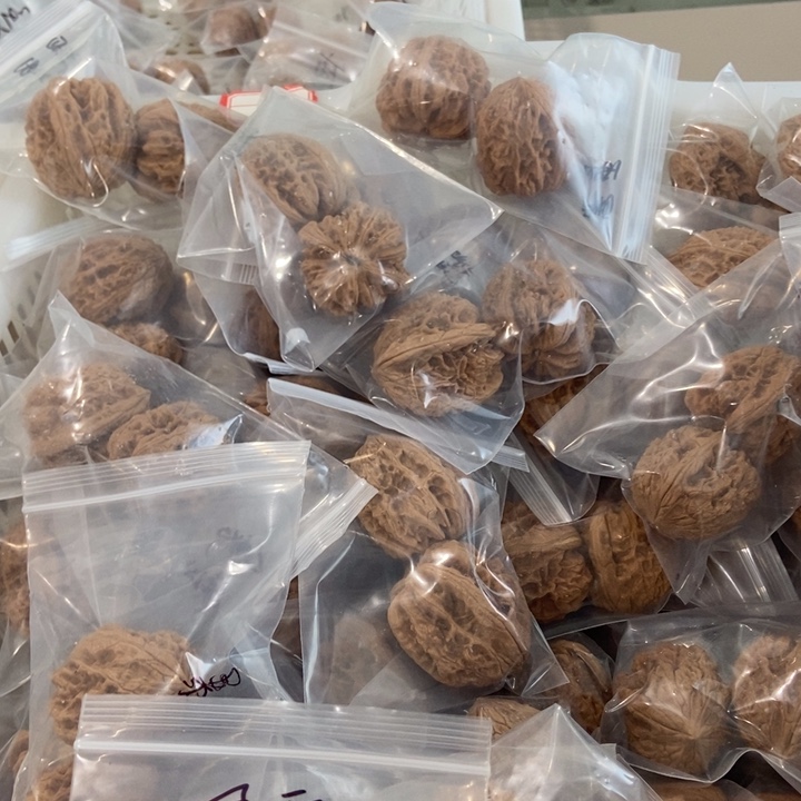 吊坠文玩核桃暴雪瑕疵