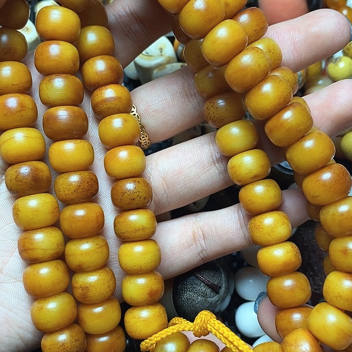 其他驼骨其他配饰