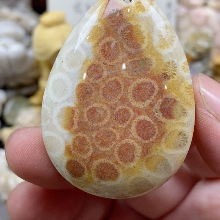 颈饰未镶嵌硅化珊瑚（珊瑚玉）