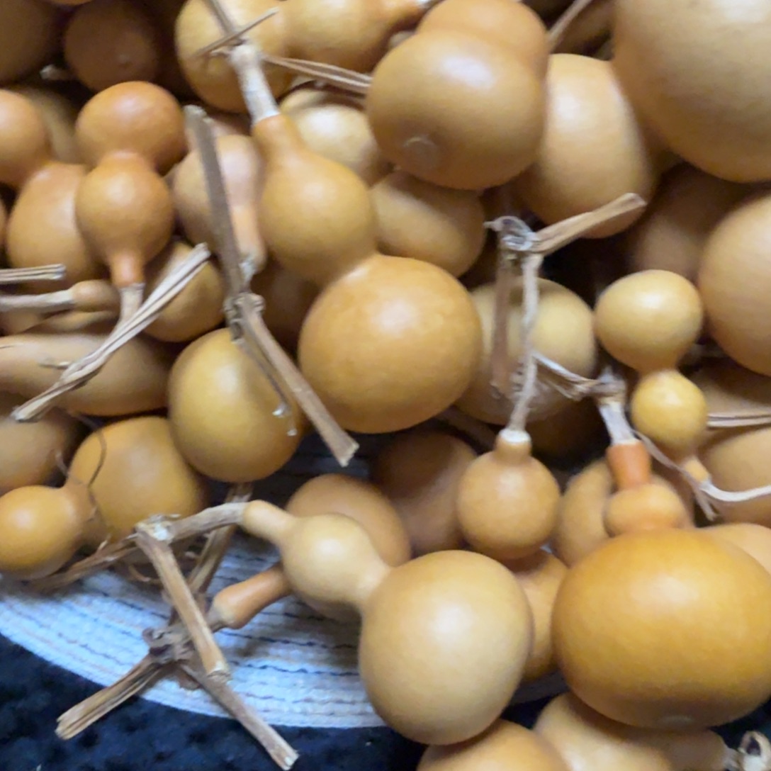 什***吧葫芦通货嘎嘎漂亮