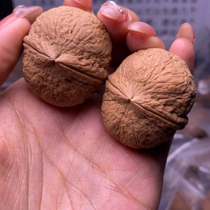 核桃云南野生铁核桃21号37mm