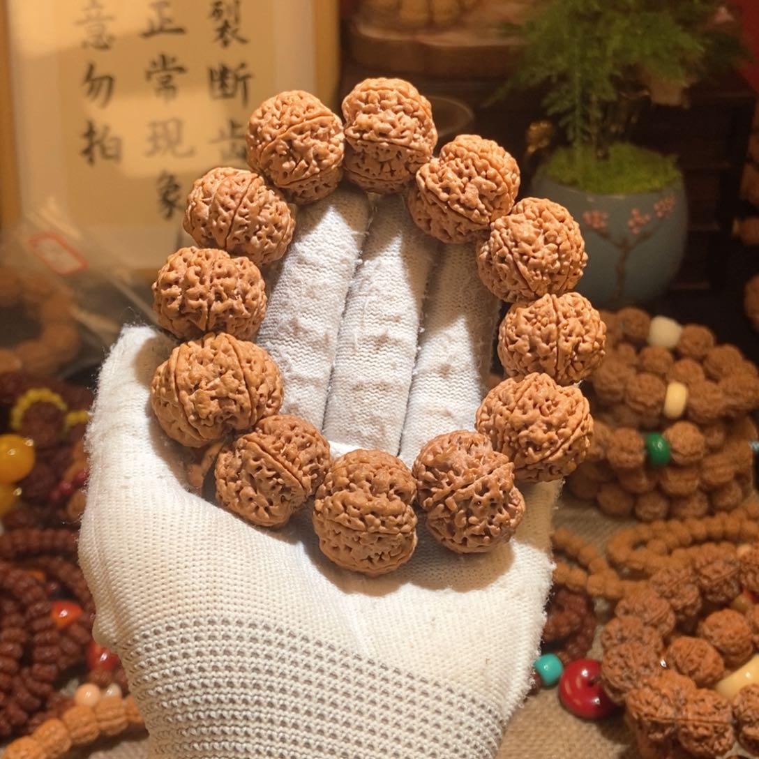 金刚菩提吊坠266原籽