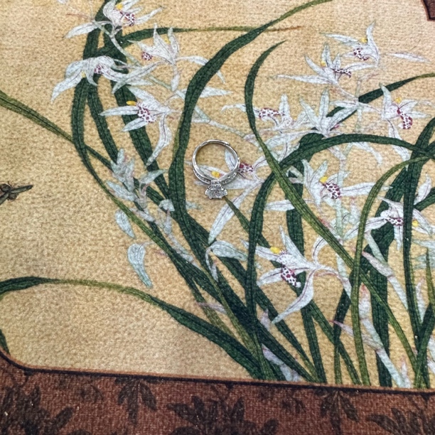 南非甄选--殿堂系列S级 新中式戒指D369