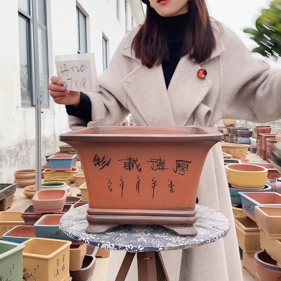 紫砂花盆紫砂花盆