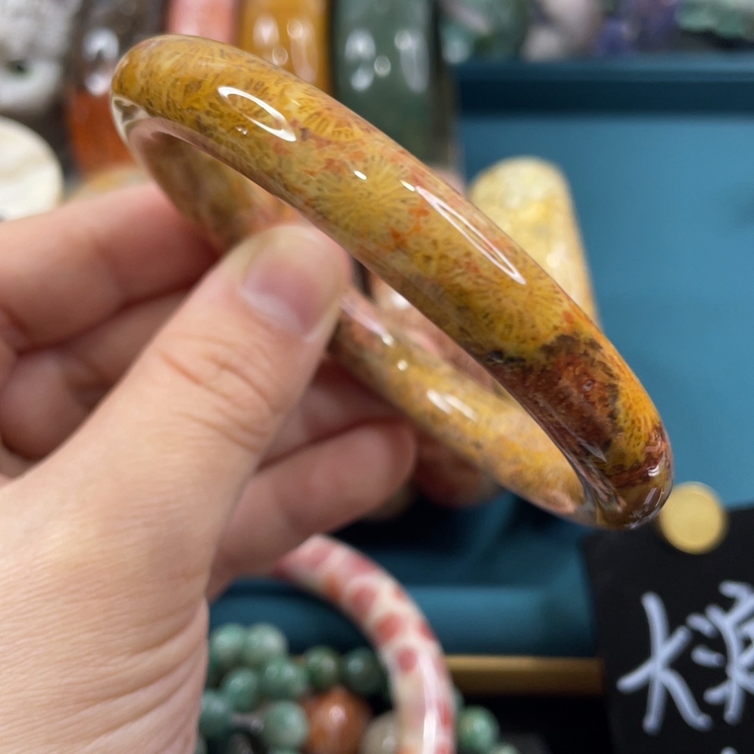 未镶嵌手镯硅化玉