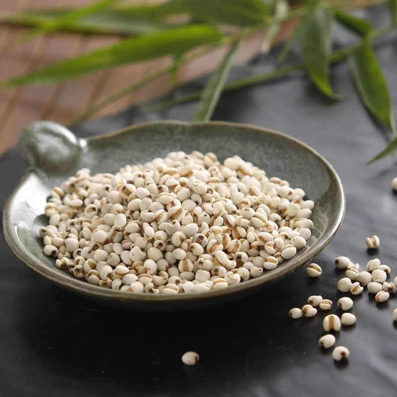 精选小颗粒薏米农产品