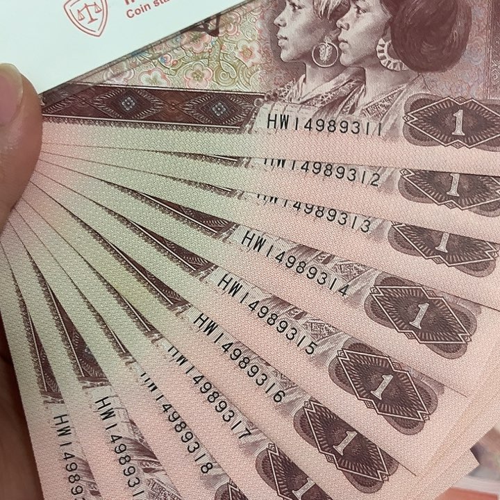 961标十强荧光满堂彩。。。。。。。。