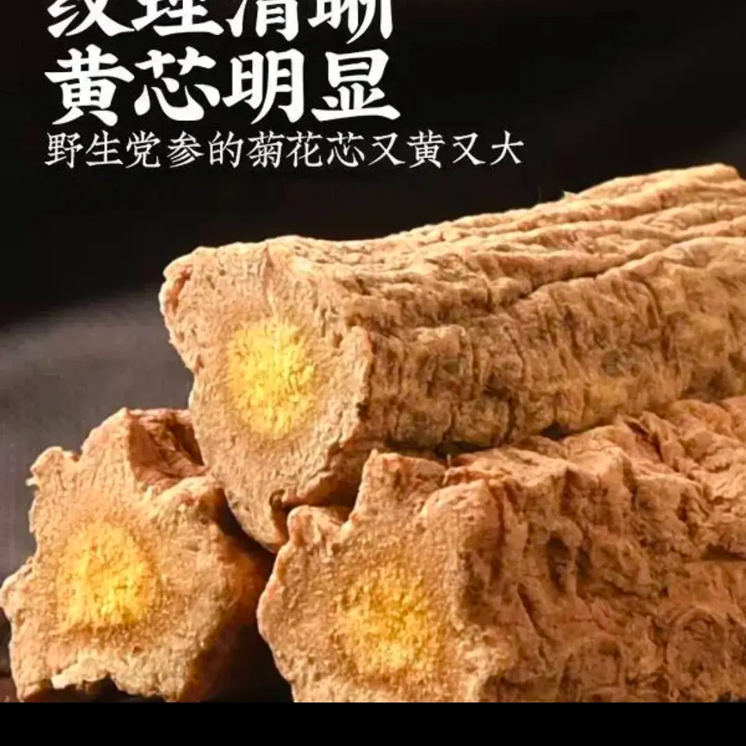 甘肃岷县野外采挖无硫磺特大条老党参