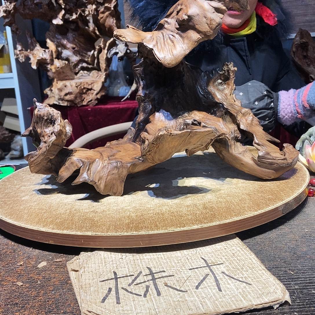 M***X490。株木随行根艺