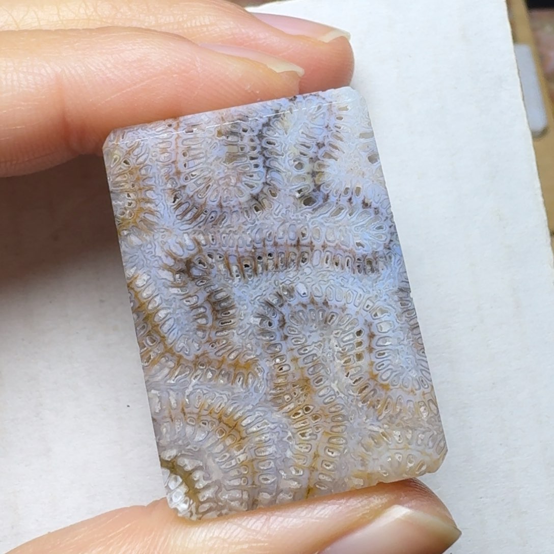 硅化玉紫色系龙骨纹 骨骼未镶嵌