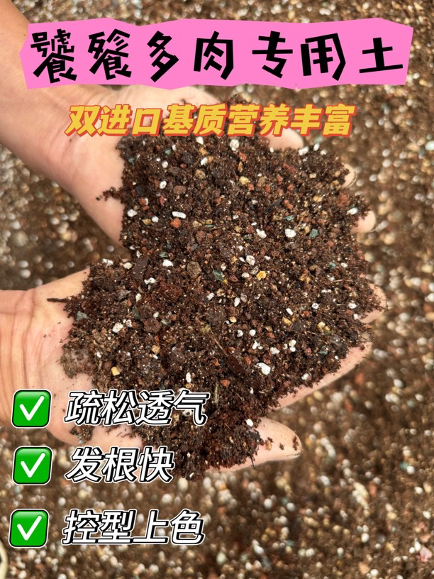 饕餮多肉专用土疏松透气发根快上色控型