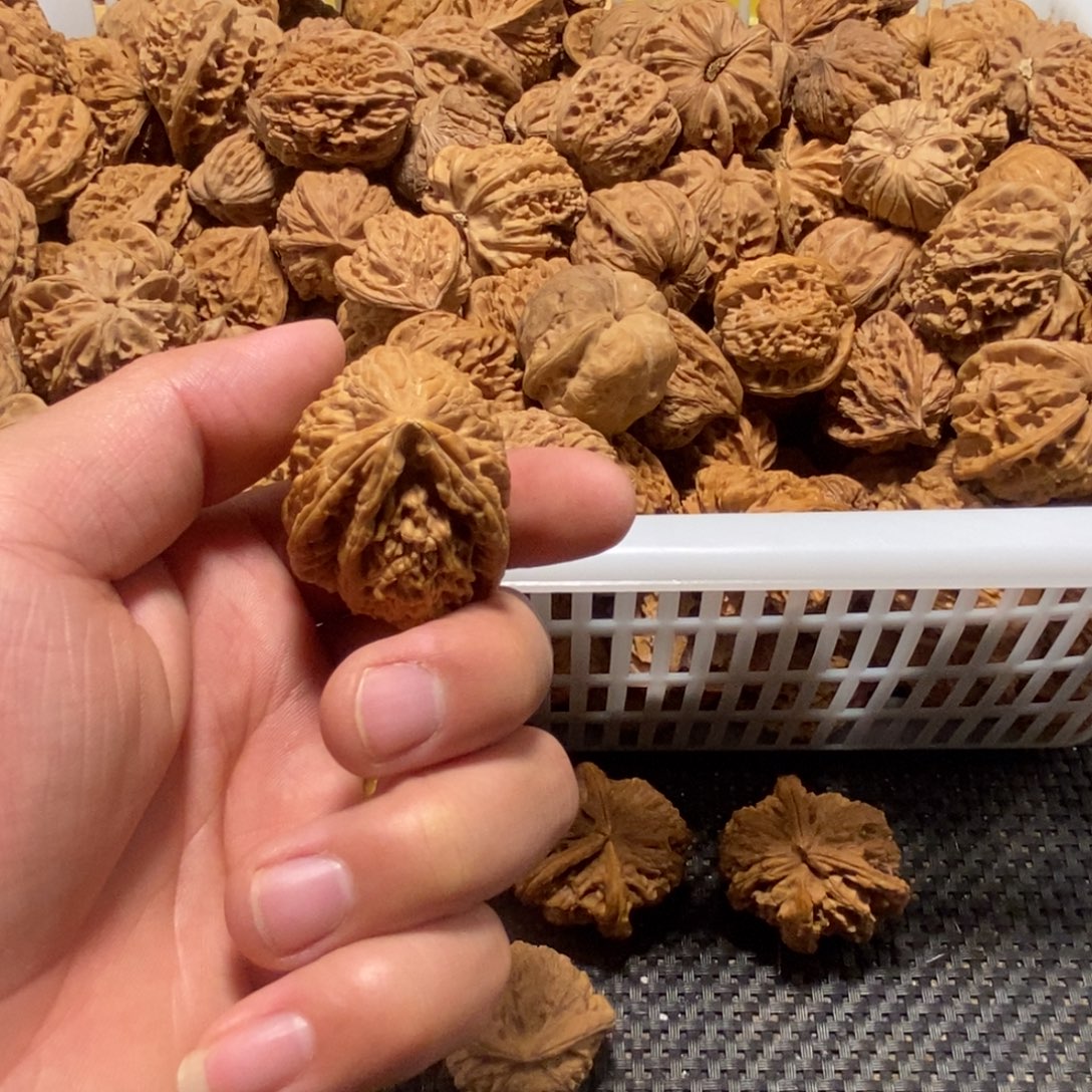 全***修文玩核桃吊坠核桃异形单只异形