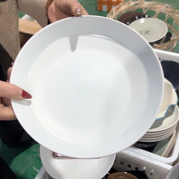 新骨瓷9.5英寸1只装