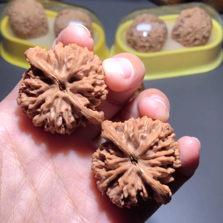 文玩核桃把件c***l39满天星