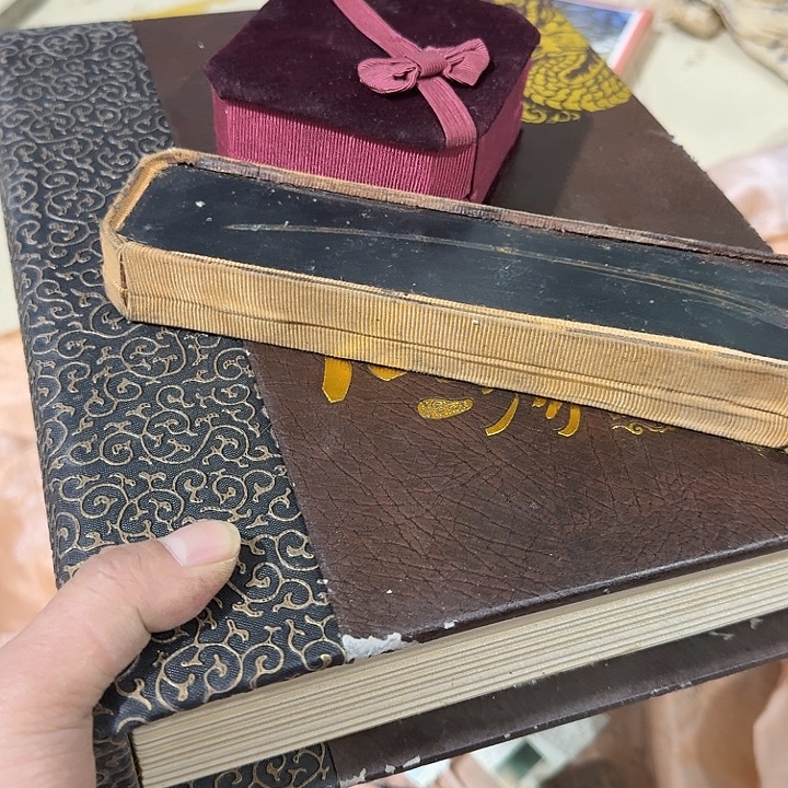 愿***洪扇子吃瓜哥哥哥哥哥哥恍恍惚惚好