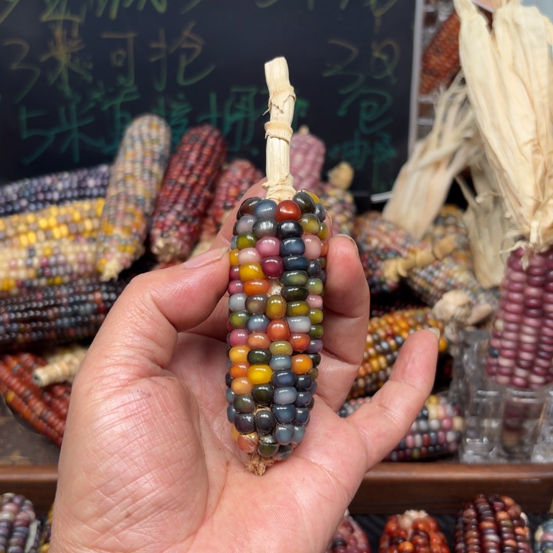 柏香籽/百香籽吊坠東*～