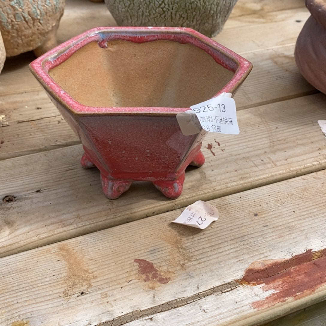 13号多肉盆口径11