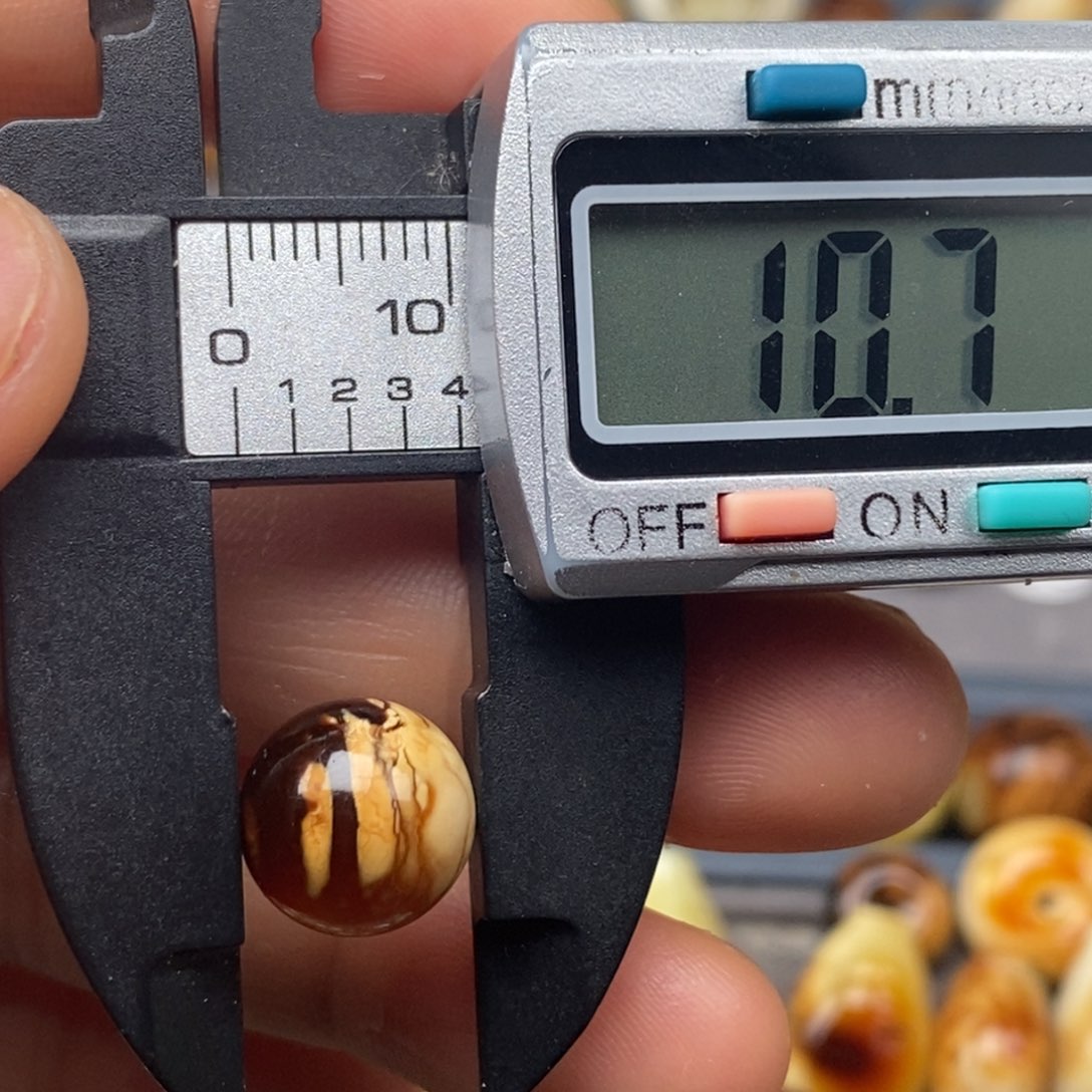 未镶嵌蜜蜡珠宝奇石