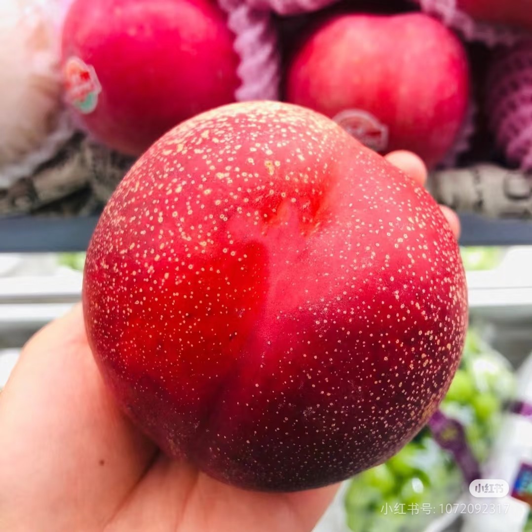 臻桃公主桃（4枚）吉林省