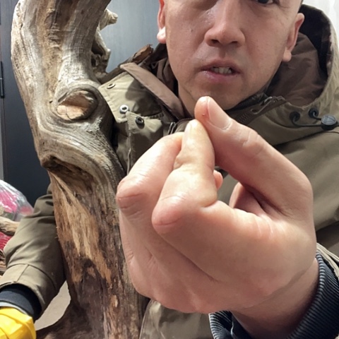 柏木蹲****事崖柏毛料的