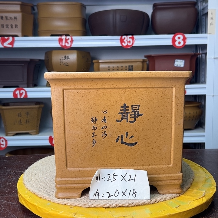 花盆紫砂蛇年大吉