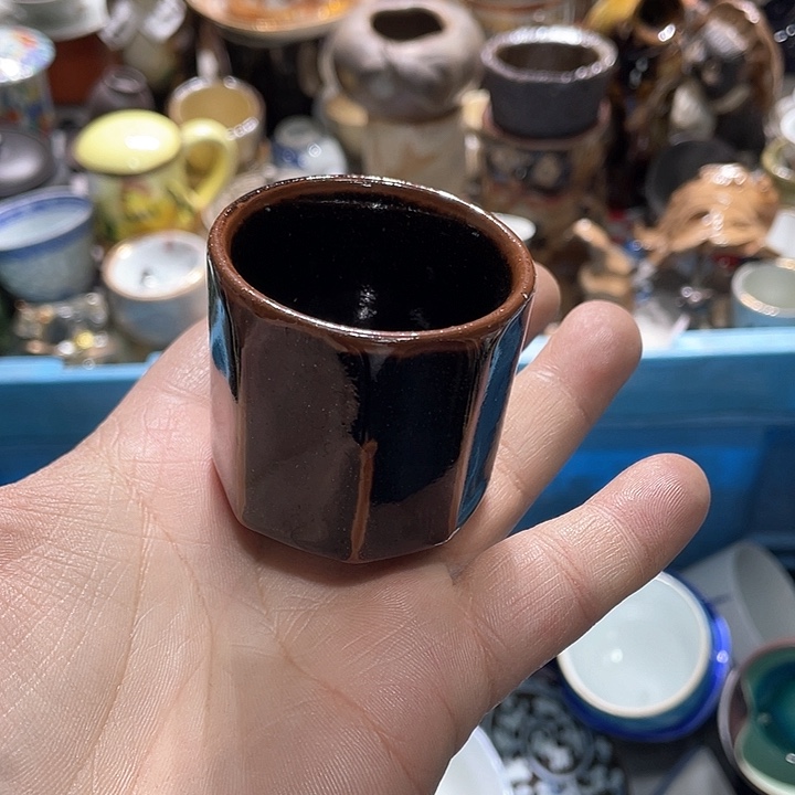 瓷片你是个好朋友一起去旅行