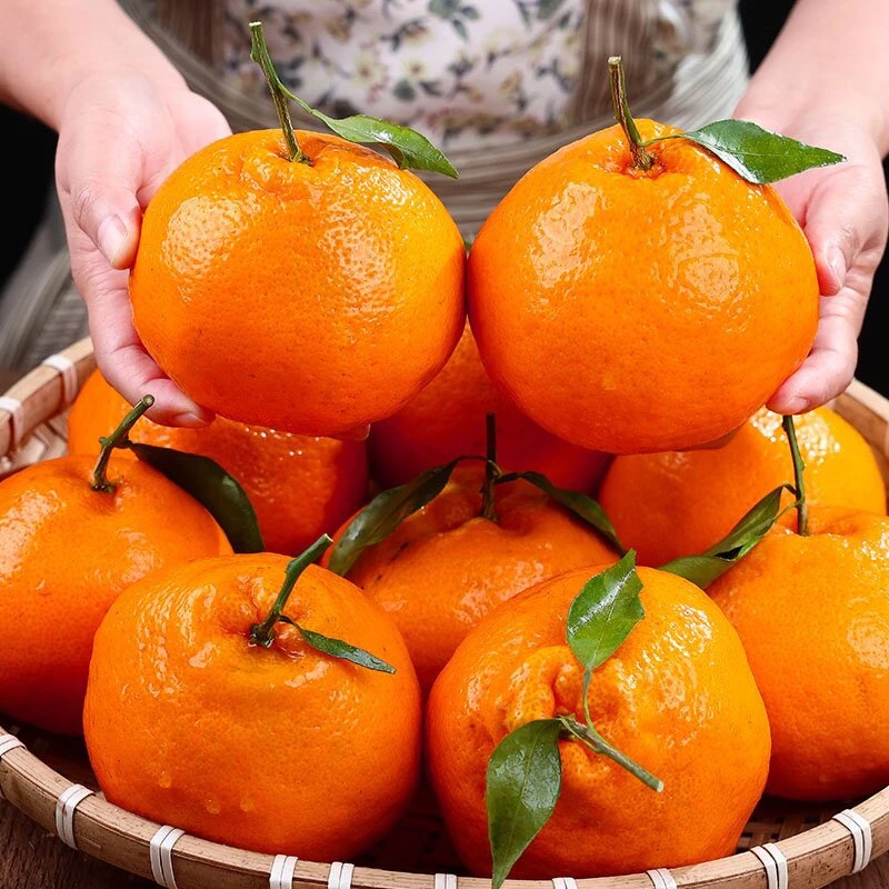 H四川春见耙耙柑产地直发新鲜爆汁多汁爽口细腻自然熟当季水果