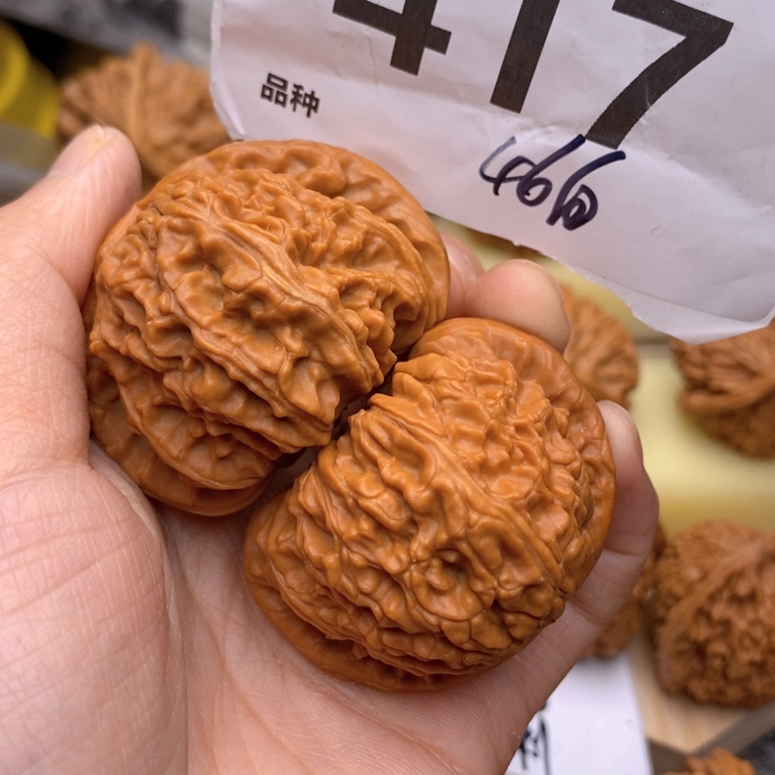 文玩核桃把件417高46白