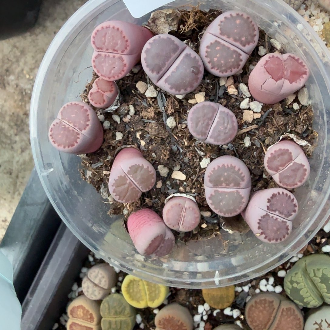 就可以用这笔的时间解决这些不125