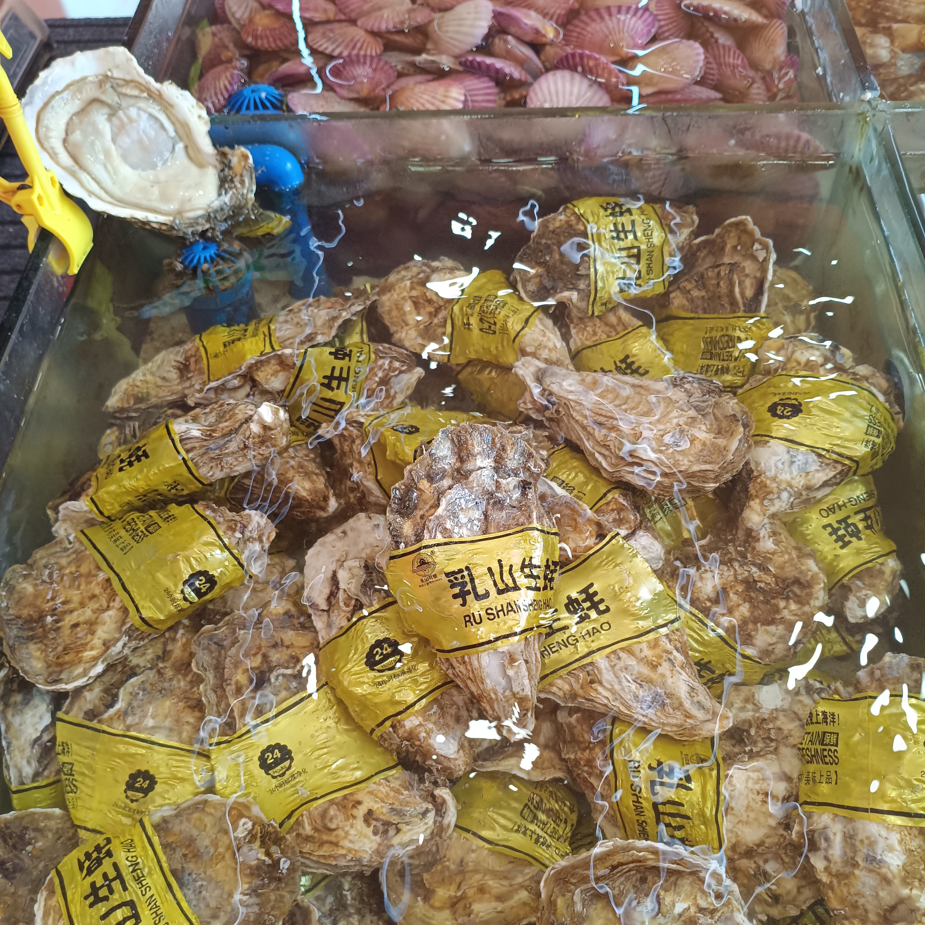 乳山生蚝(8两400G)/只