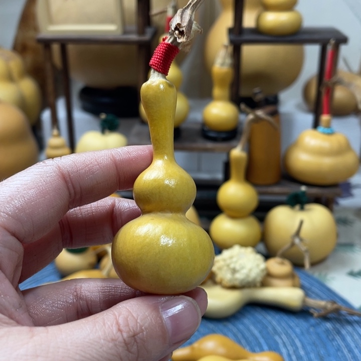 林*30美好的一天从吃瓜开始啦