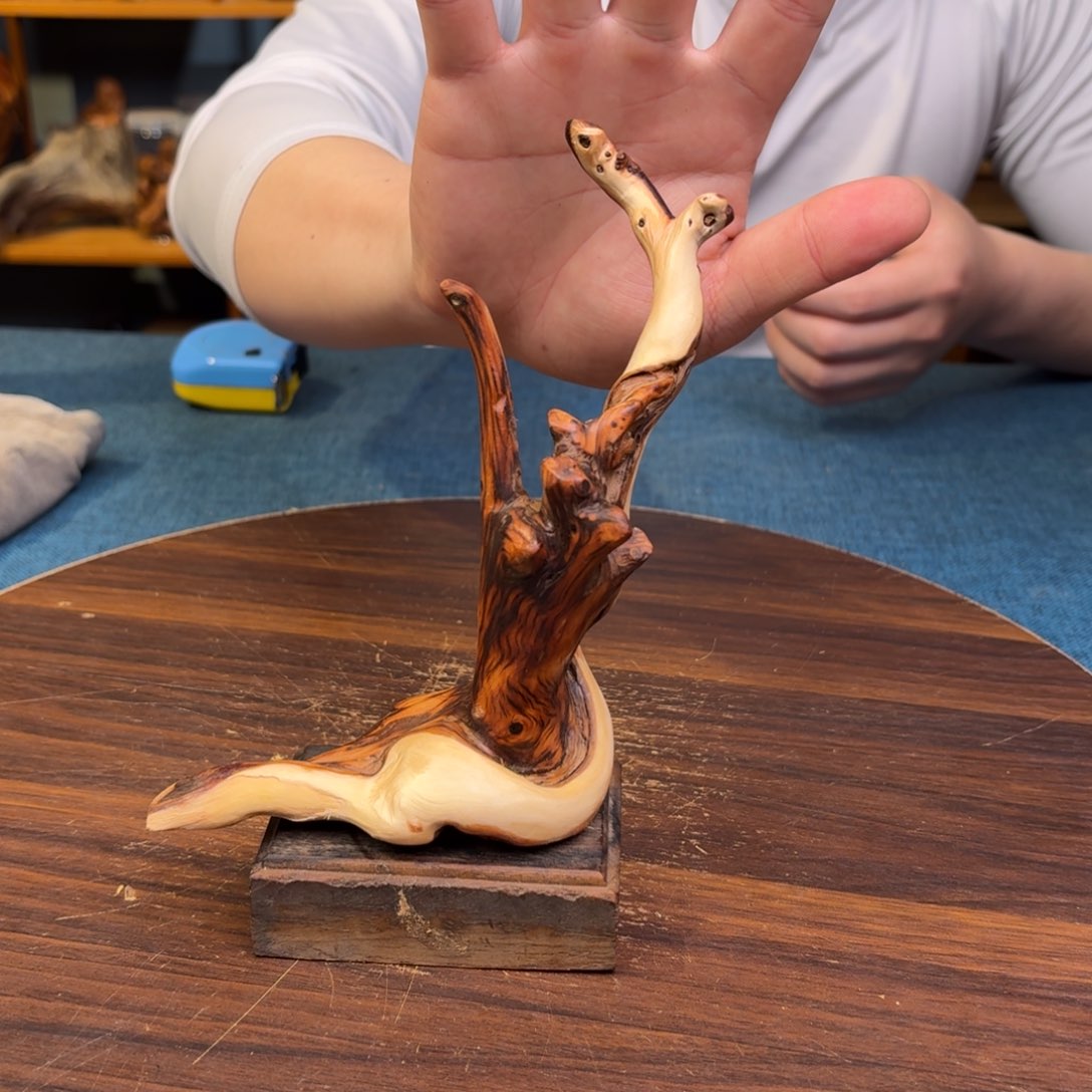 柏木（崖柏）太行崖柏