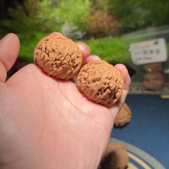 024号40山西汉高楼文玩核桃